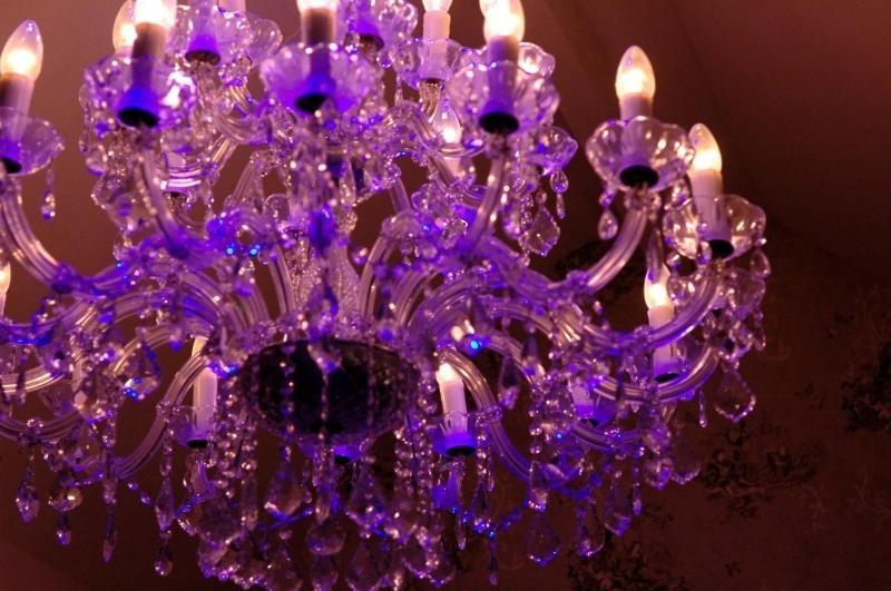 B&B Bon-Bon 'nuit' Arrondissement administratif de Arrondissement administratif de Turnhout Extérieur photo